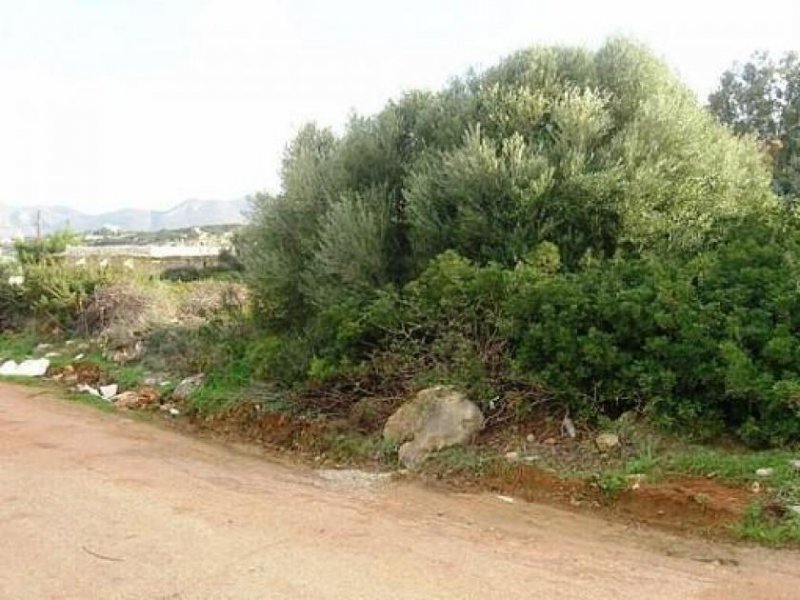 Kalathas Eckgrundstück zum Verkauf in Kalathas Kreta Grundstück kaufen